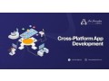 looking-for-cross-app-development-company-small-0