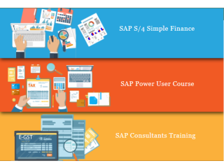 SAP FICO Course in Delhi, 110042, SLA Consultants Institute, SAP s/4 Hana Finance Certification, [100% Job, Update New Skill in '24] Summer 2024 Offer