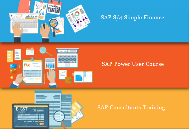 sap-fico-course-in-delhi-110042-sla-consultants-institute-sap-s4-hana-finance-certification-100-job-update-new-skill-in-24-summer-2024-offer-big-0