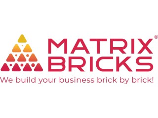 Reliable Instagram Advertising Services | Matrix Bricks