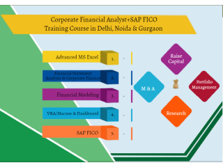 Financial Modelling Certification Course in Delhi, 110073. Best Online Live Financial Analyst Training in Pune by IIT Faculty , [ 100% Job in MNC]