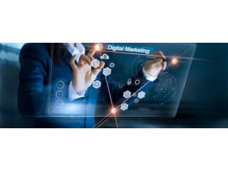 Prioritize Data-Led Digital Marketing Strategies