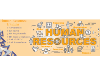 HR Course in Delhi .With SAP HCM and MS Power BI/AI, Step Out of Training, Step Into MNC Jobs, Upskills with AI for 2026, by SLA Consultants India,