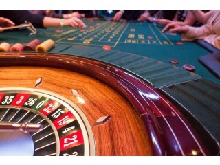 Betbhai9 ID  Indias Popular Online Platform Offering Reliability