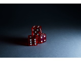 Betbhai9 Login  Quick Access to Your Account Anytime, Anywhere