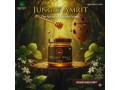 bulk-wholesale-pure-jungly-honey-village-wala-jungly-amrit-honey-small-0