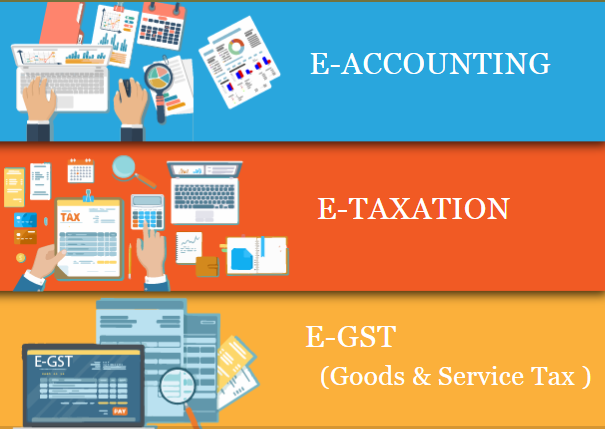 online-accounting-course-with-gst-certification-100-job-salary-upto-31-lpa-gst-sap-fico-training-certification-delhi-big-0