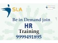 hr-generalist-training-in-geeta-colony-laxmi-nagar-mayur-vihar-delhi-sla-institute-best-sap-hcm-hr-payroll-with-100-jobs-small-0