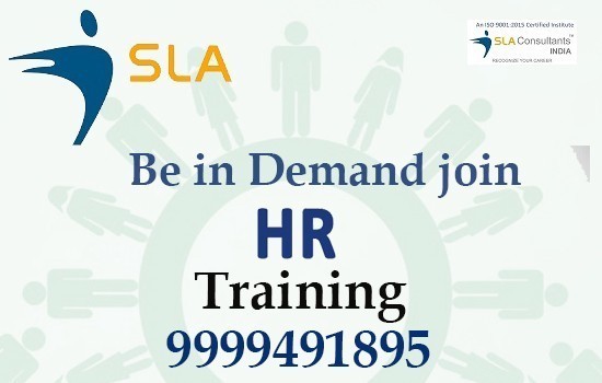 hr-generalist-training-in-geeta-colony-laxmi-nagar-mayur-vihar-delhi-sla-institute-best-sap-hcm-hr-payroll-with-100-jobs-big-0