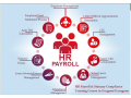 hr-certification-in-delhi-janakpuri-sla-human-resource-institute-sap-hcm-payroll-training-course-small-0