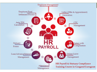 HR Certification in Delhi, Janakpuri, SLA Human Resource Institute, SAP HCM, Payroll Training Course,