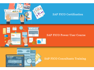 SAP FICO Course, Delhi, Noida, Gurgaon, "SLA Consultants", Accounting Course, GST Training, BAT Training Institute,