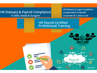 HR Payroll Training Institute in Delhi, Ghaziabad, Noida, SLA Classes, SAP HCM Certification, HR Course, 2023 Offer,