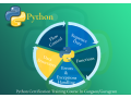 python-data-science-course-delhi-noida-gurgaon-sla-data-analyst-learning-100-job-free-power-bi-tableau-certification-training-small-0