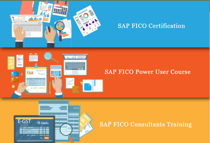 online-sap-fico-finance-certification-in-laxmi-nagar-delhi-sla-accounting-institute-bat-training-classes-republic-day-jan23-offer-big-0