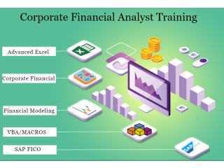 Financial Modeling Course in Delhi - 100% Placement Support  - SLA Institute  - Delhi & Online Certification Course, IIM Alumni Trainer,