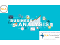 business-analytics-certification-in-delhi-noida-ghaziabad-till-feb-23-offer-100-job-free-python-course-small-0