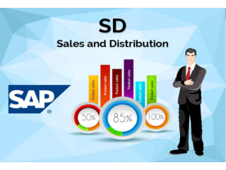 Best SAP SD Certification Course in Laxmi Nagar, Delhi, Best Offer, 100% Job, Free Demo Classes,