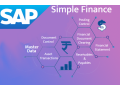 best-sap-fico-hana-course-in-laxmi-nagar-delhi-best-offer-100-job-free-demo-classes-sla-institute-small-0