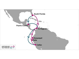 ONE Launches FLX Service: Transforming South American Reefer Shipments