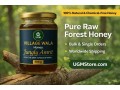 raw-jungly-honey-wholesale-supplier-bulk-honey-for-export-small-0