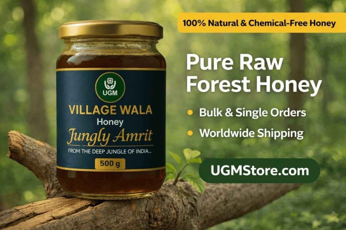 raw-jungly-honey-wholesale-supplier-bulk-honey-for-export-big-0