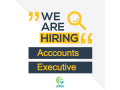 accounts-executive-small-0