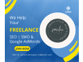 best-digital-marketing-freelancer-in-faridabad-small-0