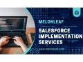 revolutionize-your-business-with-melonleafs-profound-salesforce-implementation-expertise-small-0