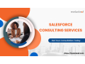 melonleafs-salesforce-consulting-services-small-0