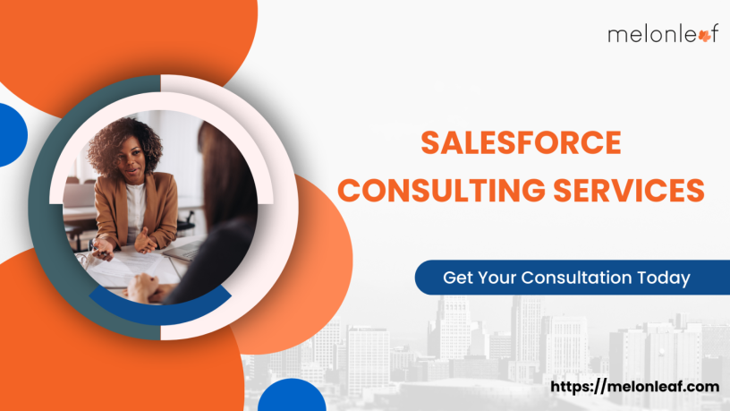 melonleafs-salesforce-consulting-services-big-0