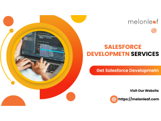 Salesforce Development Services | Melonleaf