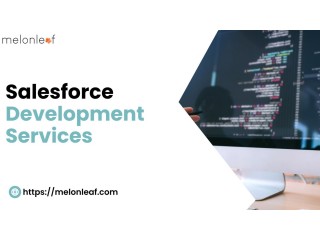 Maximizing Business Potential with Salesforce Development Services