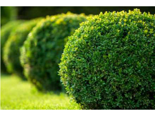 Amazing Landscaping Ut