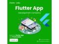 adequate-flutter-app-development-company-in-san-francisco-for-your-budget-small-0