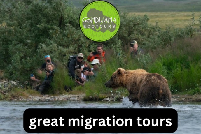 witness-natures-spectacle-great-migration-tours-by-gondwana-ecotours-big-0