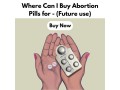 where-can-i-buy-abortion-pills-for-future-use-small-0
