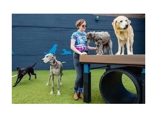 Dog Care Near Me Oregon City