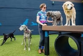 dog-care-near-me-oregon-city-big-0