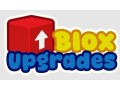 bloxupgrades-com-5-off-entire-order-small-0