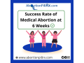 success-rate-of-medical-abortion-at-6-weeks-what-you-should-know-small-0