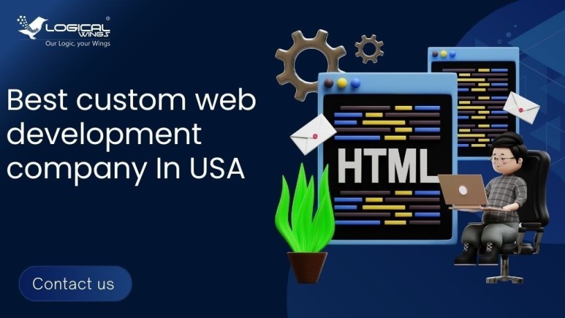 best-custom-web-development-company-in-usa-big-0
