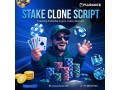 stake-clone-script-for-visionaries-ready-to-dominate-betting-small-0