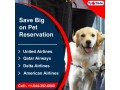 qatar-airways-pet-policy-flyofinder-small-0